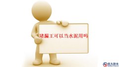 請(qǐng)問(wèn)堵漏王可以當(dāng)水泥用嗎